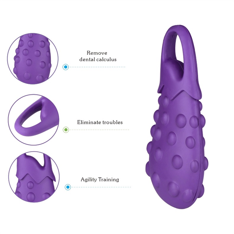 Natural Rubber Eggplant Design Durable Indestructible Bite Resistance Molar Teeth Chew Dog Toys
