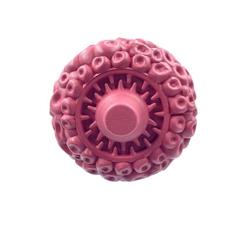 New Acorn Design Natural Rubber Teeth Cleaning Squeaky Pet Toy Bite Resistance Durable Chewing Dog Toy