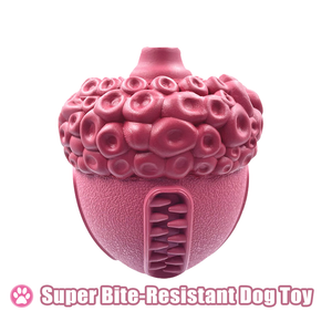 New on Fun Toys Made of Natural Rubber Safe, Non-Toxic Soft Squeaky Dog Toys for Medium and Large Dogs to Chew